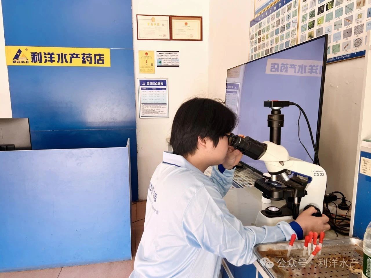 1748482031349589.jpg 131.jpg