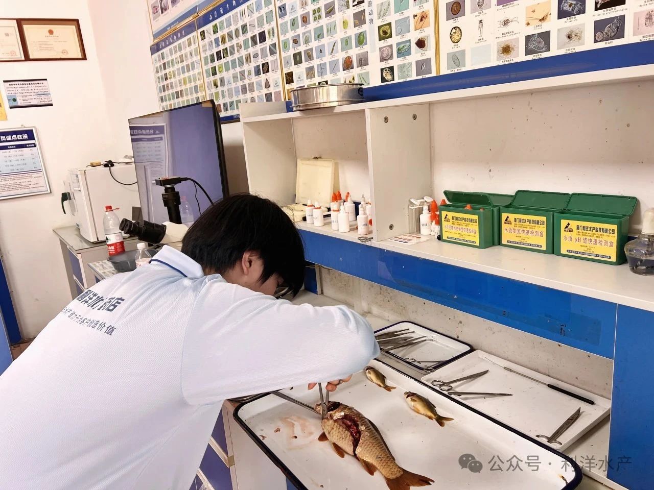 1748482056249474.jpg 132.jpg