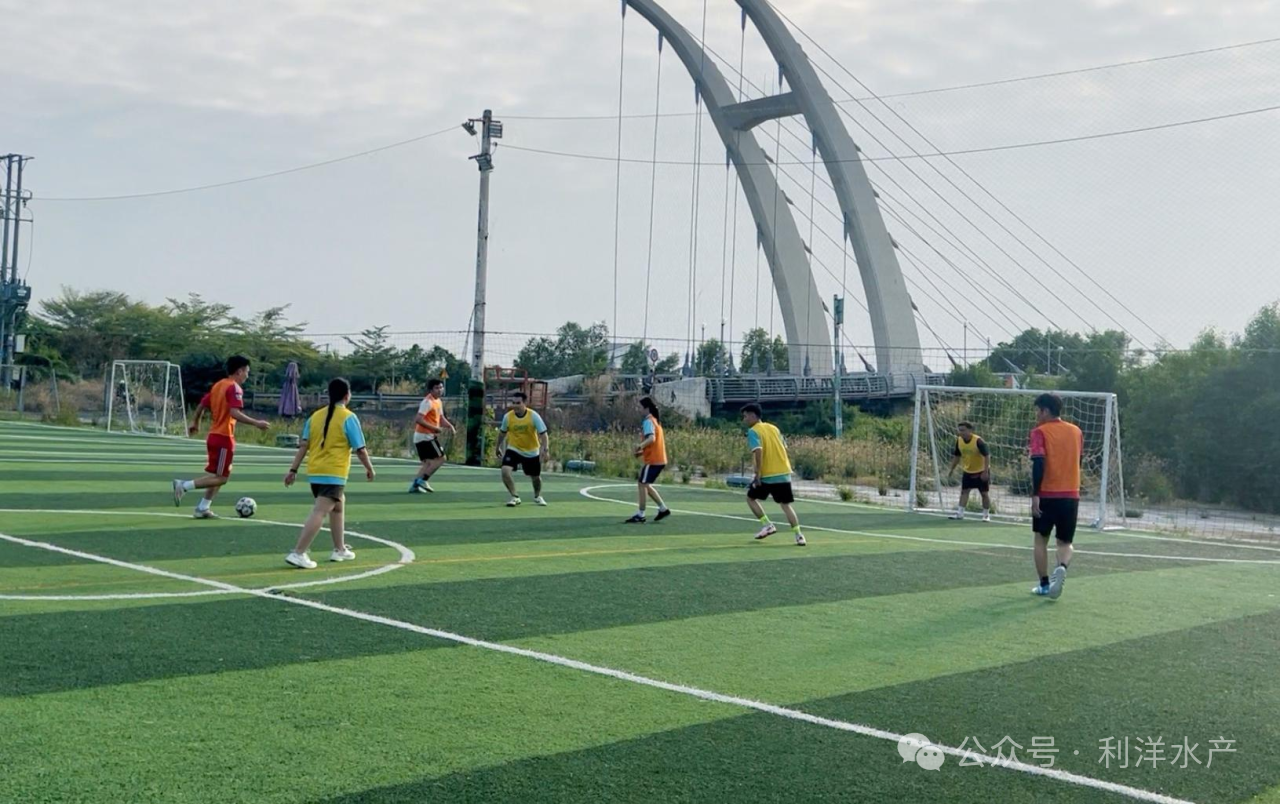 越南利洋足球賽——綠茵場上展風(fēng)采，團隊協(xié)作助成長